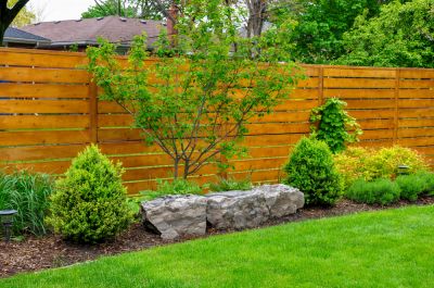 Provide Backyard Privacy!